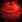 stardew-valley-lava-eel-demands-mega-bombs-farmers-fear-for-their-crops-image-1